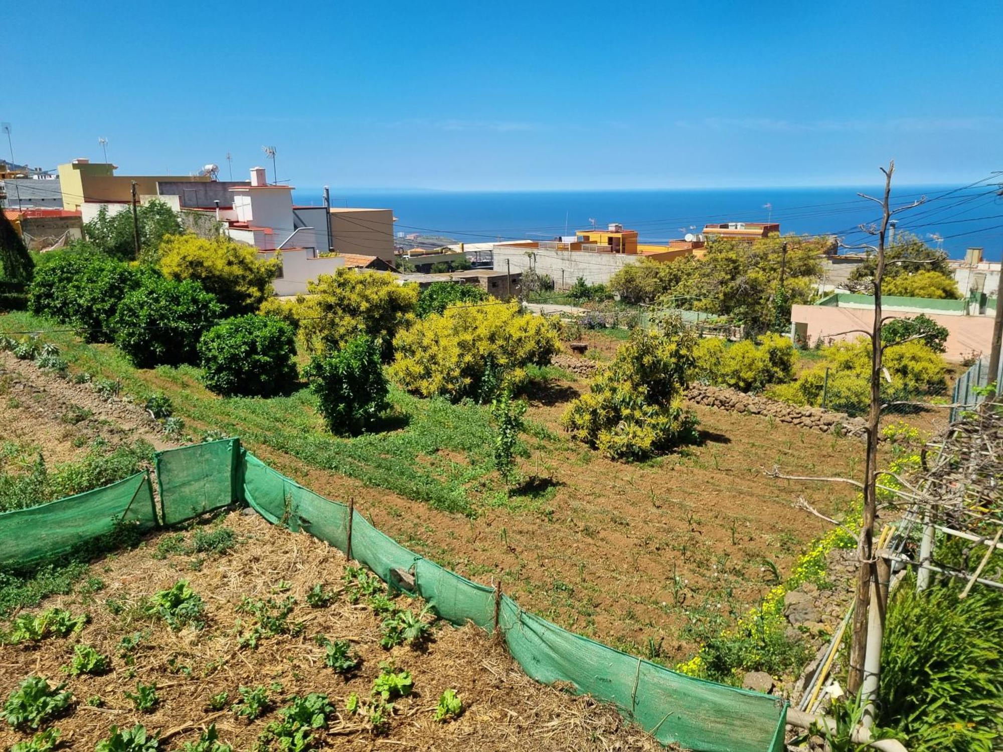 לה אורוטבה Vivienda Vacacional Ca Na Paula מראה חיצוני תמונה
