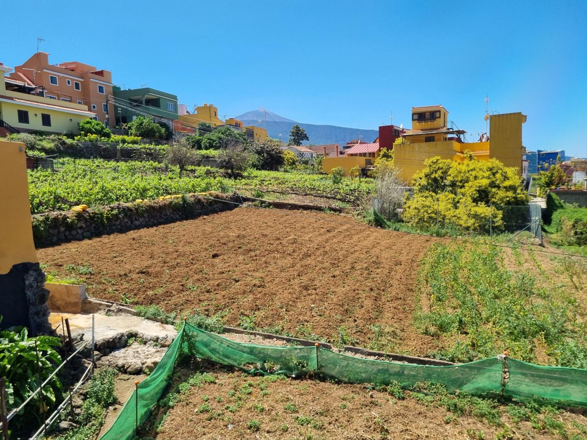לה אורוטבה Vivienda Vacacional Ca Na Paula מראה חיצוני תמונה